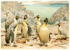 Giant Penguins (1893-1896)