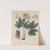 Giftpflanzen-Buch Pl.30 by Friedrich Berge