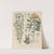Giftpflanzen-Buch Pl.54 (1845) by Friedrich Berge