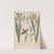 Giftpflanzen-Buch Pl.58 (1845) by Friedrich Berge