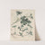 Giftpflanzen-Buch Pl.59 (1845) by Friedrich Berge