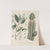 Giftpflanzen-Buch Pl.60 (1845) by Friedrich Berge