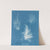 Gigartina plicata (1843-1853) by Anna Atkins