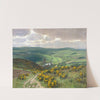 Ginsterblüte in der Eifel by Fritz Von Wille