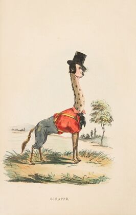 Giraffe (John E. Owens as Jakey) (1851)