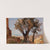Girgenti (Trees) (before 1890) by Jan Ciągliński