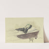Girl in the coffin by Jacob Happ