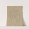 Girl&#039;s head in Kassel by Carl Hoff