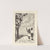 Gladiola Garden; poems of outdoors and indoors for second grade readers Pl.27 by Lois Mailou Jones