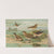 Glareola pratincola, Glareola melanoptera Nordm by Johann Friedrich Naumann
