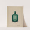 Glass Bottle by Anna Aloisi