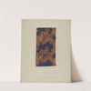Glazed Chintz by Florence Stevenson