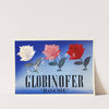 Globinofer (1910-1950) by Produits F. Hoffmann-La Roche &amp; Cie