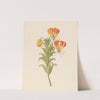 Gloriosa [Gloriosa superba] by Clemenz Heinrich Wehdemann