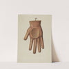 Glove Shop Sign by Joseph L. Boyd