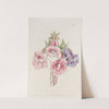 Gloxinia speciosa by Sydenham Edwards