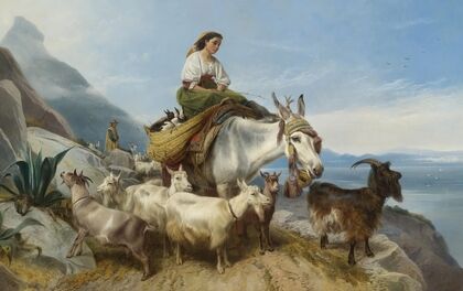 Goatherd On The Rock Of Gibralter