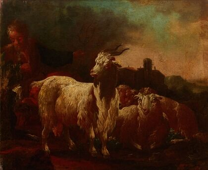 Goats and Sheep
