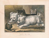 Going for him (1868)