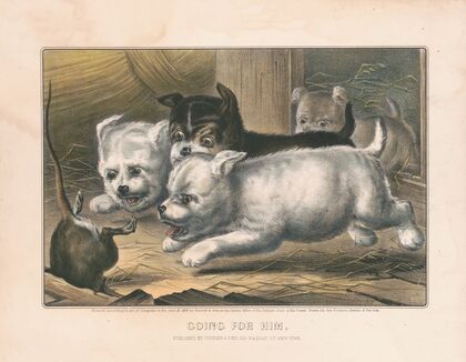 Going for him (1868)