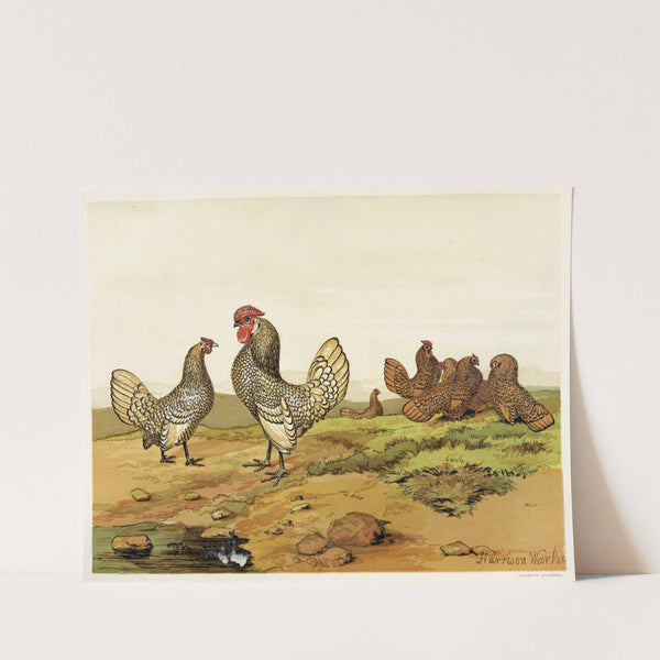Gold and Silver-laced Bantams (1867) by Harrison Weir