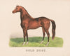 Gold dust (1875)