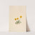 Golden Fleabane (Erigeron aureus) (1904) by Mary Vaux Walcott