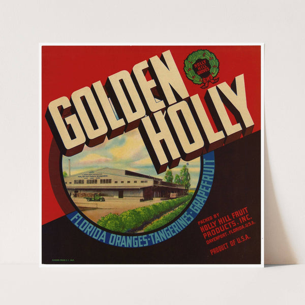 Golden Holly Citrus Label (1940s)