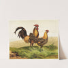 Golden Pencilled Hamburghs (1867) by Harrison Weir