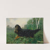 Gordon Setter In A Landscape by Alexander Pope Jr.