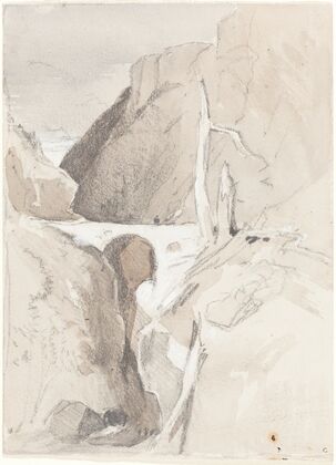 Gorge with Tree Stumps