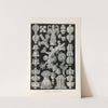 Gorgonida. - Rindenkorallen by Ernst Haeckel
