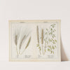 Grains by Charlotte Mary Yonge