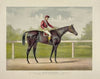 Grand racer Kingston, by Spendthrift; dam imp. Kapanga, by Victorious, 2nd dam Kapunda, by Stockwell (1891)