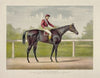 Grand racer Kingston, by Spendthrift; dam imp. Kapanga, by Victorious, 2nd dam Kapunda, by Stockwell (1891)