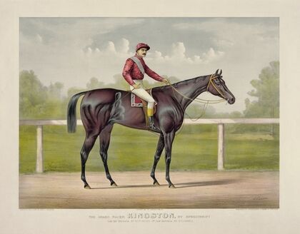 Grand racer Kingston, by Spendthrift; dam imp. Kapanga, by Victorious, 2nd dam Kapunda, by Stockwell (1891)