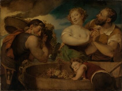 Grape harvest