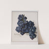 Grapes by Leopold Zinnögger
