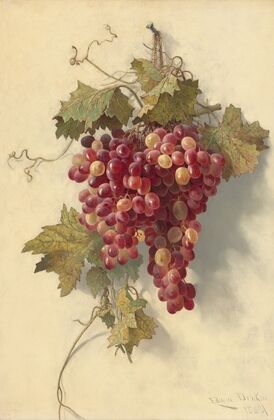 Grapes Against White Wall (1883)