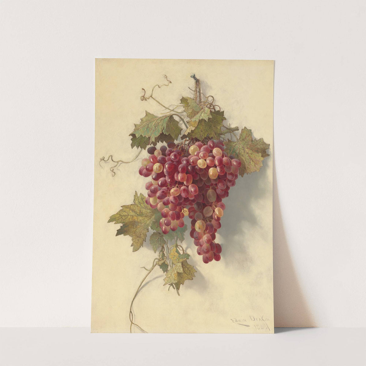 Grapes Against White Wall (1883) by Edwin Deakin