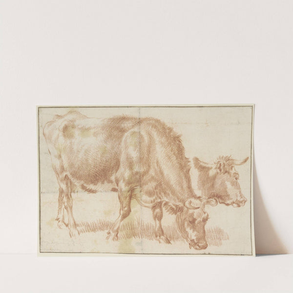 Grasendes Rind, rechts daneben ein Rinderkopf by Adriaen van de Velde
