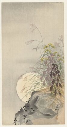 Grasses at full moon