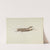 Grasshopper Weather Vane by Joseph Goldberg