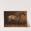 Grauer Schimmel im Stall (1909) by Emil Volkers