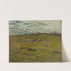 Grazing Sheep by Nils Kreuger