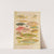 Great Barrier Reef Fishes II (1893) by William Saville-Kent