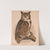 Great horned owl. Bubo virginianus bon (1874) by Louis Prang & Co.