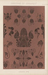 Greek No. 6 (1856)