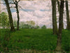 Green Fields