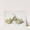 Green Pears (1929) by Charles Demuth